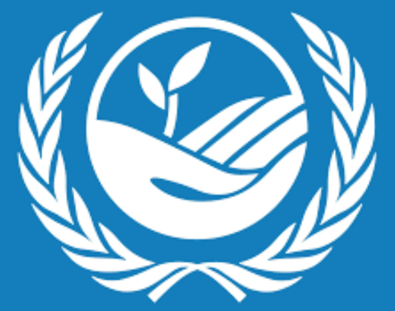 Drought, Land degradation Eroding Africa’s Economy, Says UNCCD